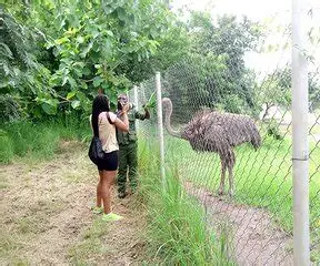 Photograph of Accra Zoo